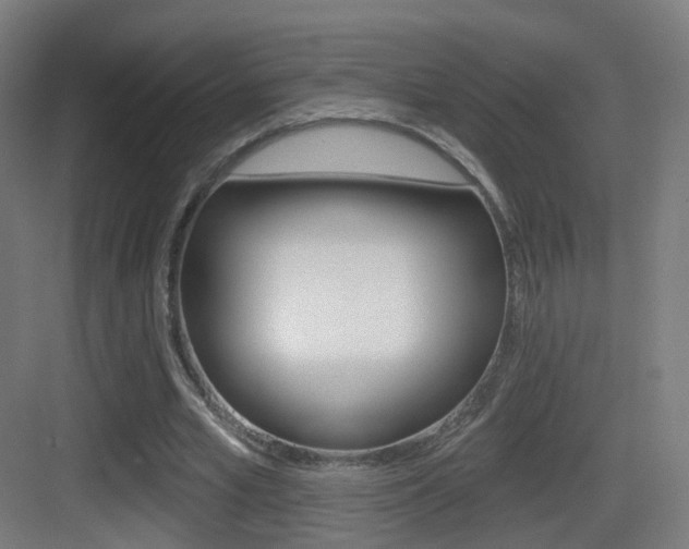X0000083530581200702090722