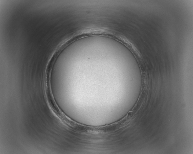 X0000083530582200702090722