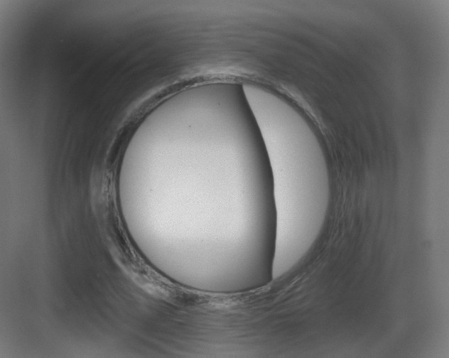 X0000083530583200702090722