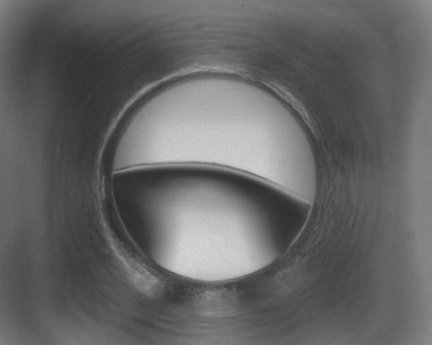 X0000083530584200702090722