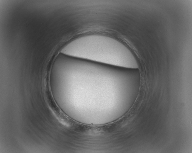 X0000083530586200702090722