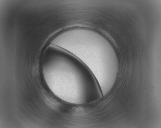 X0000083530588200702090722