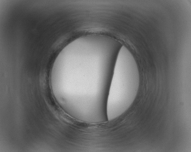 X0000083530591200702090722