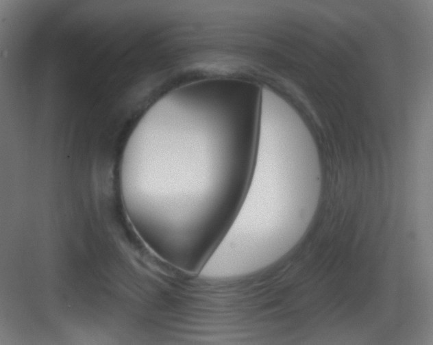 X0000083530596200702090722