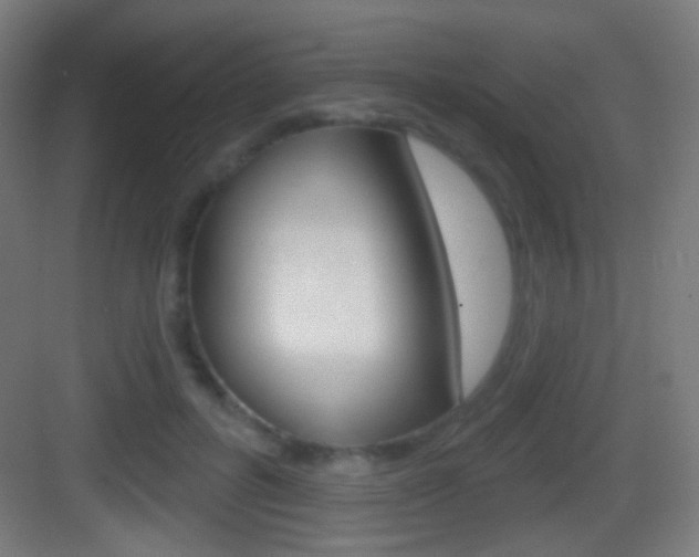 X0000083530600200702090722