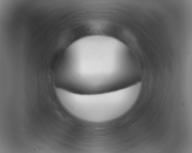 X0000083530603200702090722
