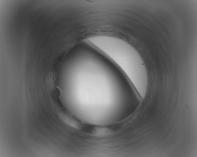 X0000083530605200702090722