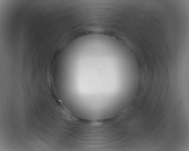 X0000083530609200702090722