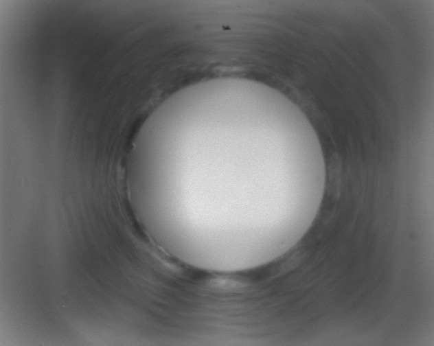 X0000083530614200702090722