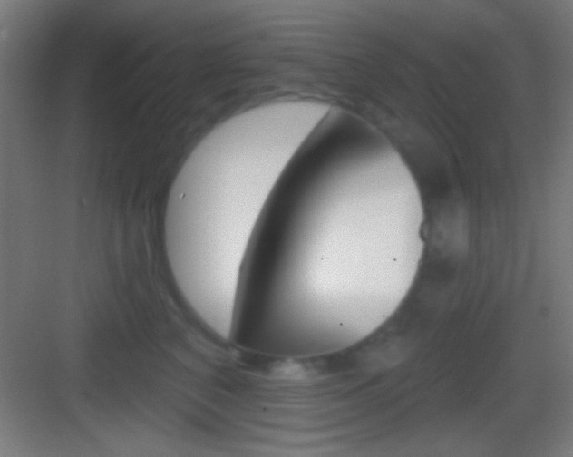 X0000083530616200702090722