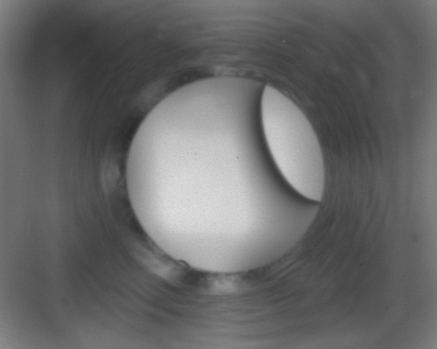 X0000083530618200702090722