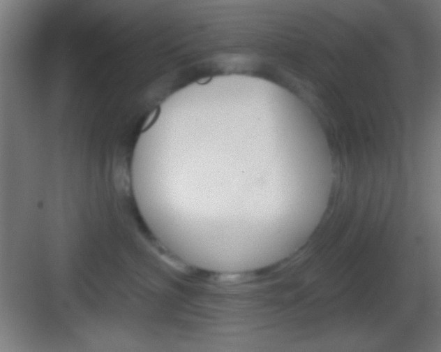 X0000083530622200702090721
