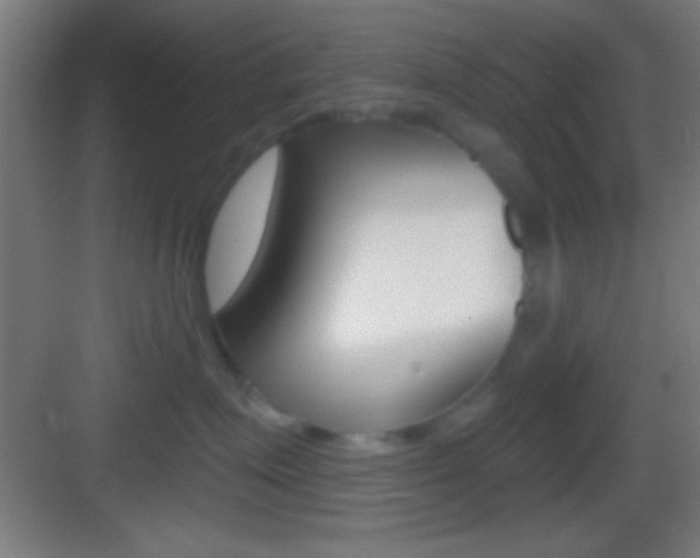 X0000083530623200702090721