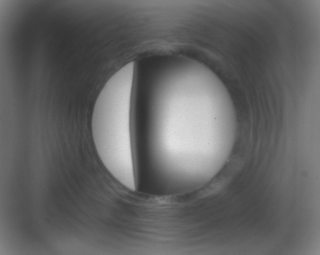 X0000083530624200702090721