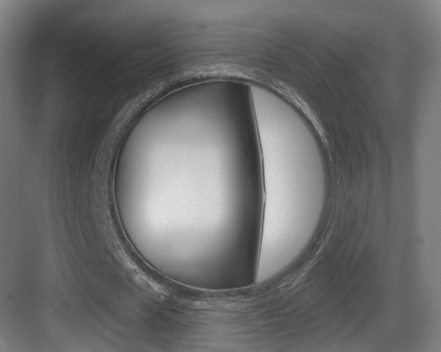 X0000083530625200702090721