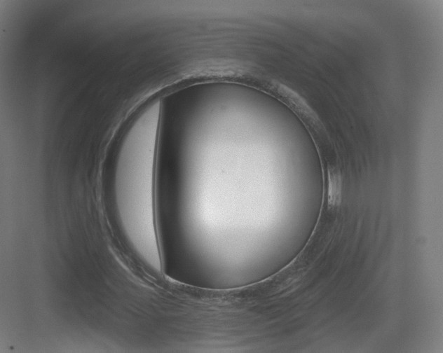 X0000083530627200702090721