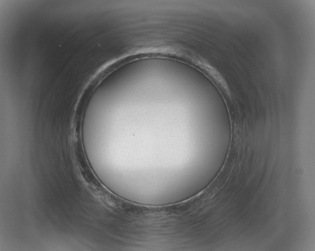 X0000083530628200702090721