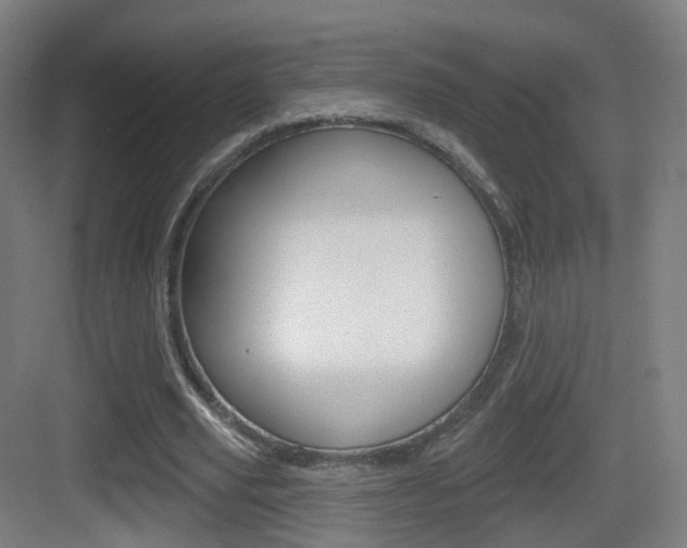 X0000083530629200702090721