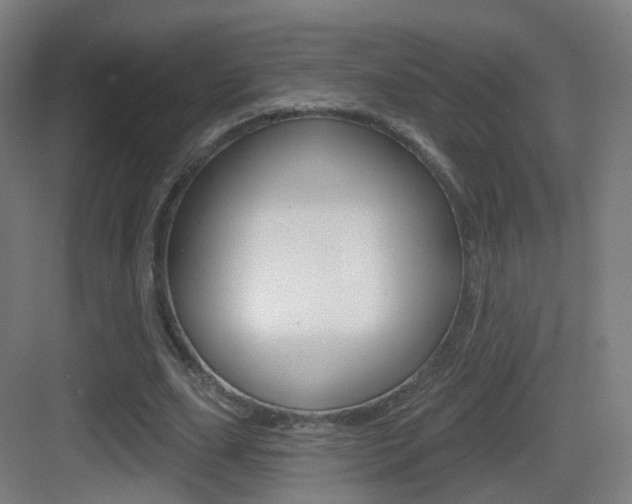 X0000083530631200702090721