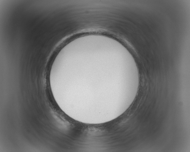 X0000083530632200702090721
