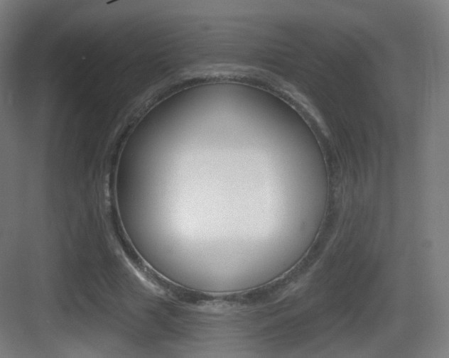 X0000083530633200702090721