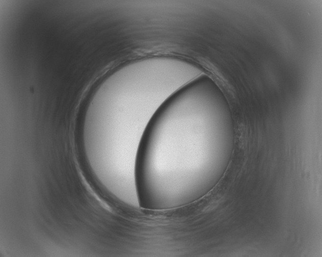 X0000083530634200702090721