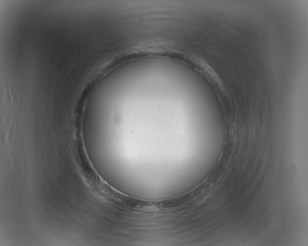 X0000083530635200702090721