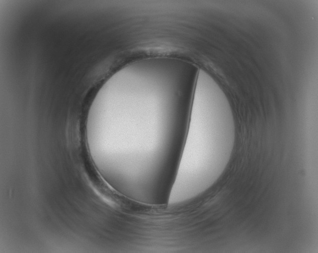 X0000083530638200702090721