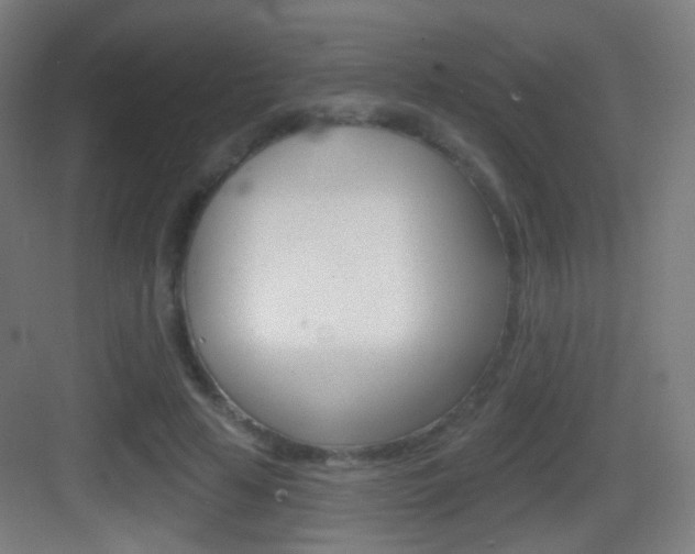 X0000083530641200702090721