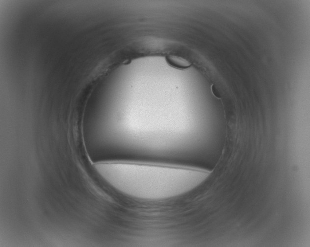 X0000083530642200702090721