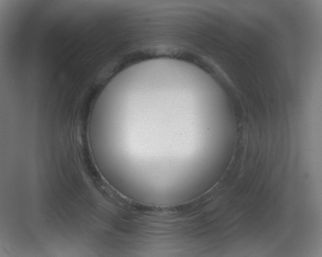 X0000083530643200702090721
