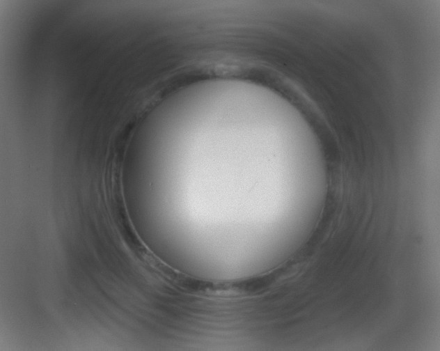 X0000083530645200702090721