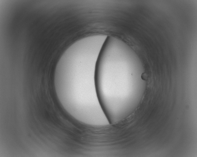 X0000083530646200702090721