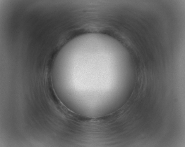 X0000083530647200702090721