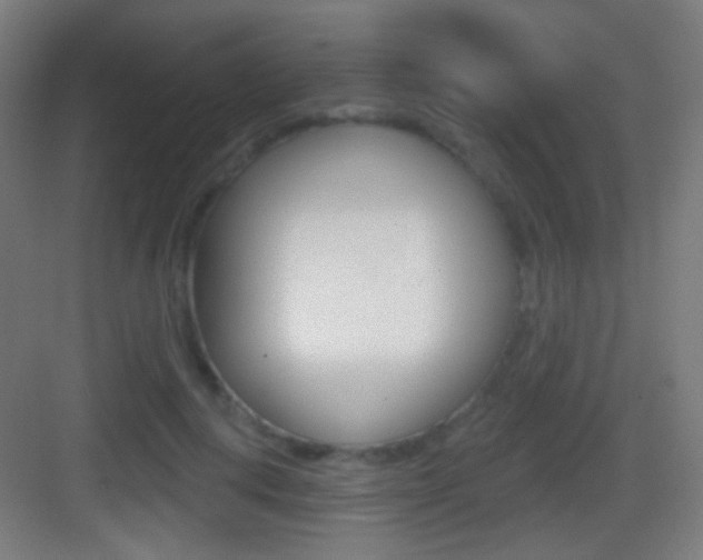 X0000083530648200702090721