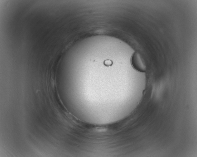 X0000083530651200702090721