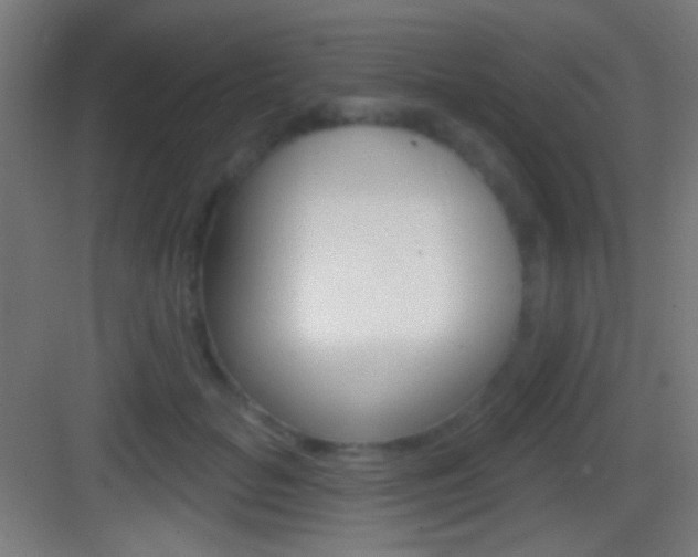 X0000083530653200702090721