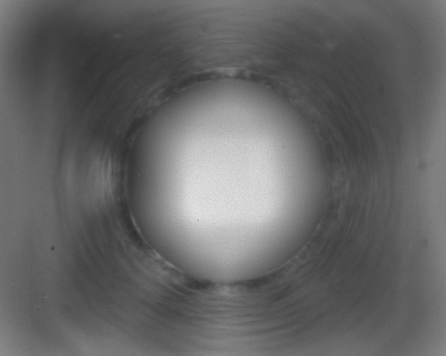 X0000083530656200702090721