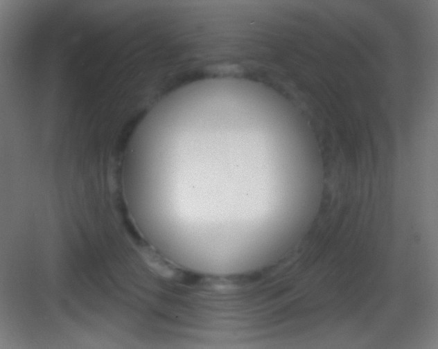 X0000083530658200702090721