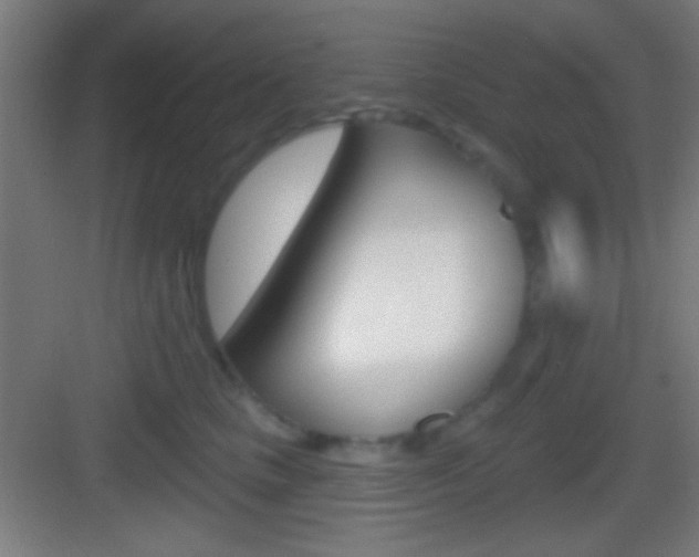 X0000083530661200702090721