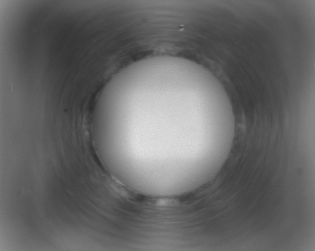 X0000083530663200702090721