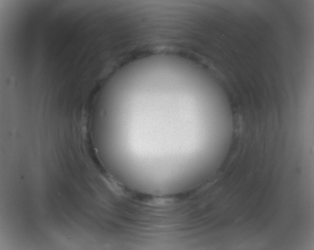 X0000083530664200702090721