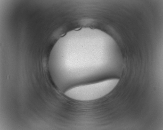 X0000083530670200702090721