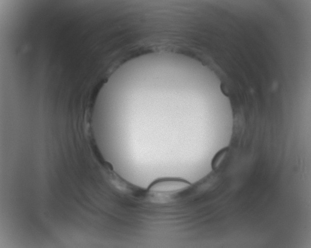 X0000083530671200702090721