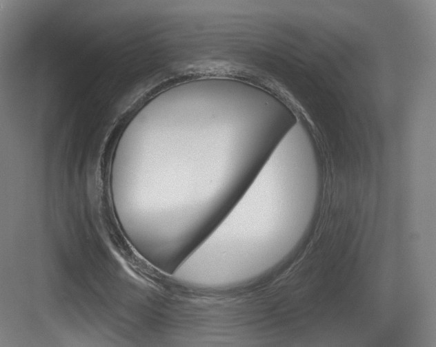 X0000083530674200702090721