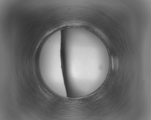 X0000083530675200702090721