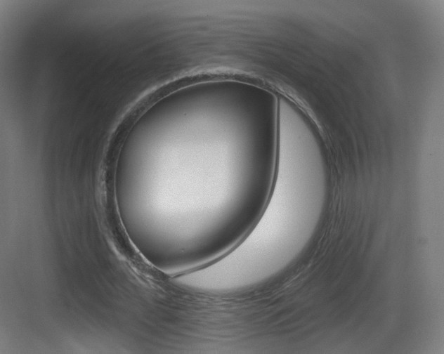 X0000083530676200702090721
