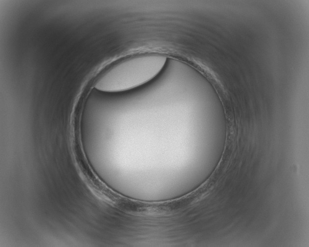 X0000083530678200702090721