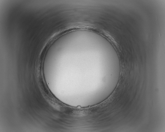 X0000083530679200702090720