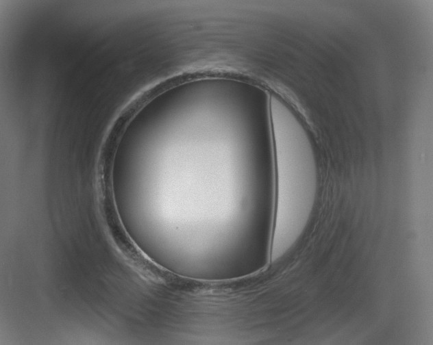 X0000083530680200702090720